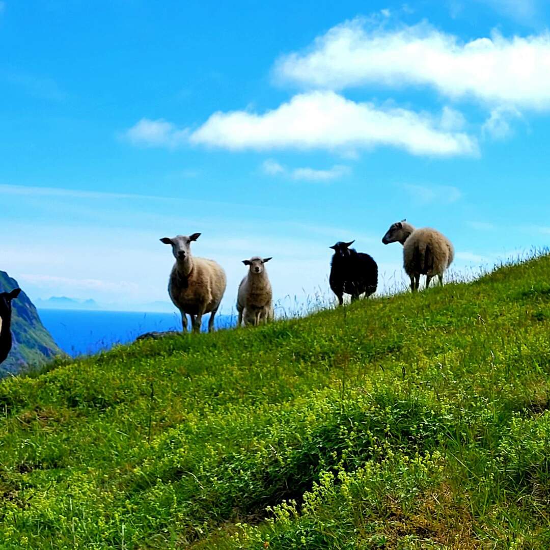 Norwegen mit dem Rucksack