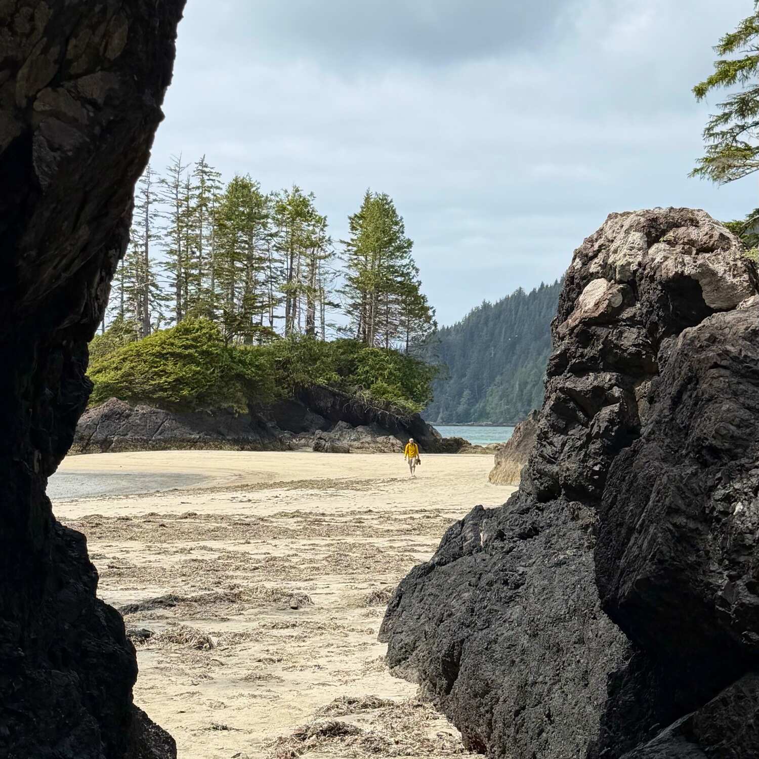 Vancouver Island 🇨🇦
