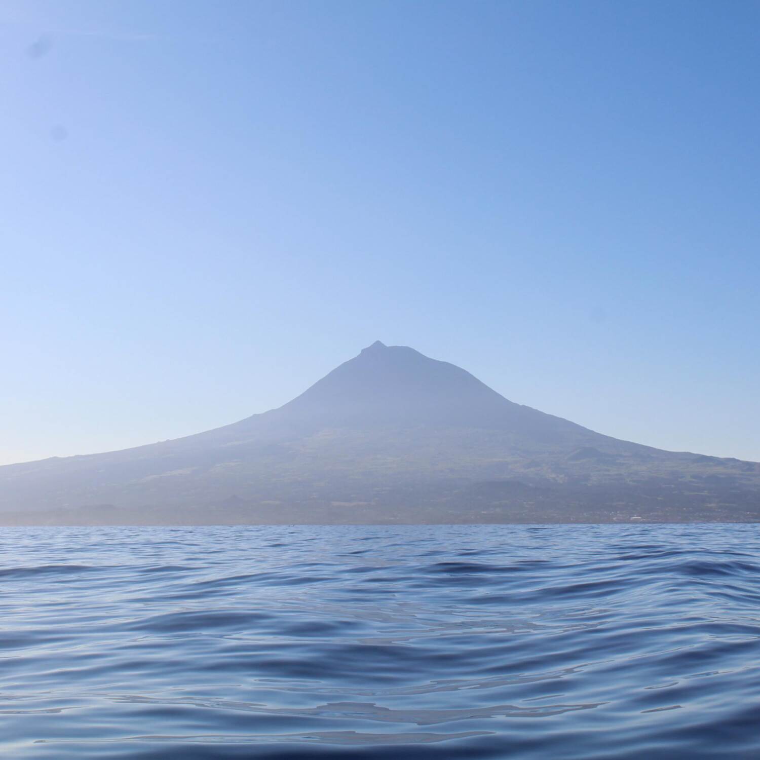 Azoren/ Portugal ♡