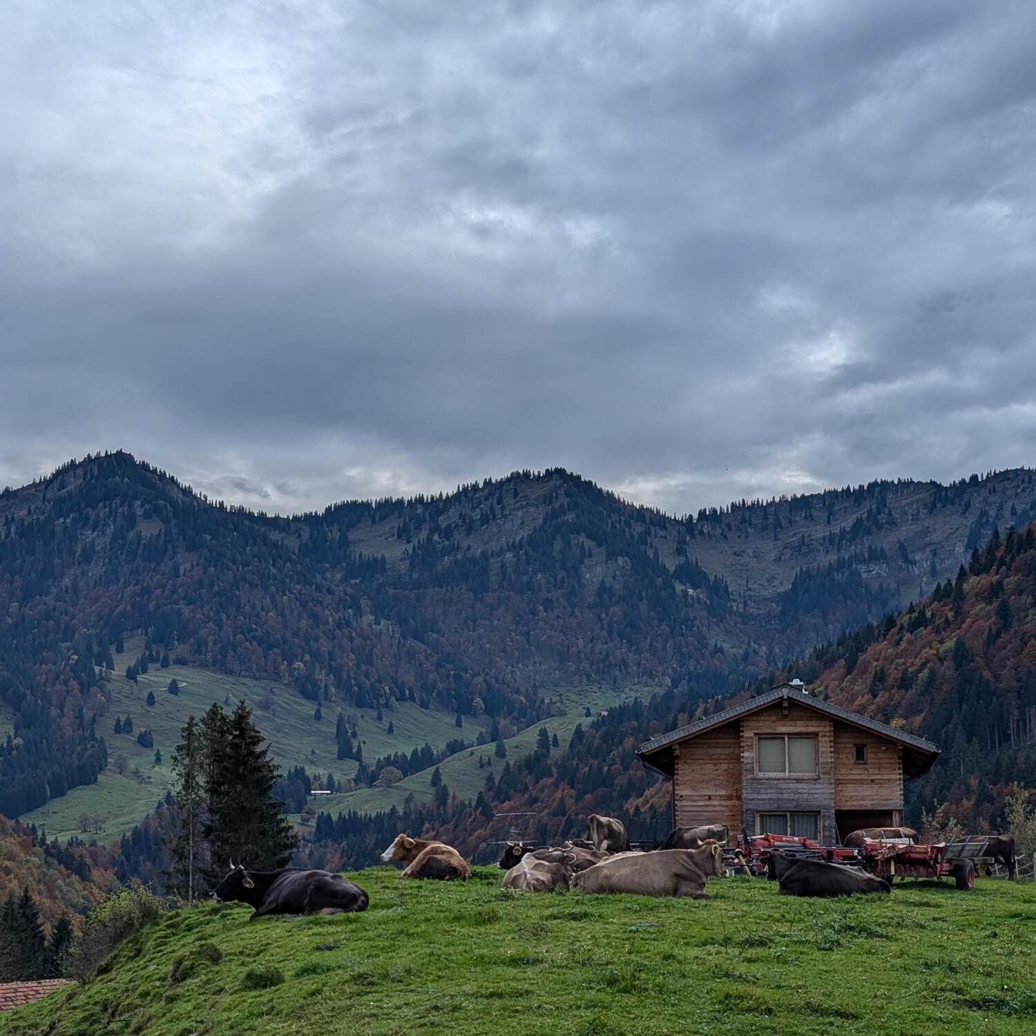 Allgäuer Wanderherbst