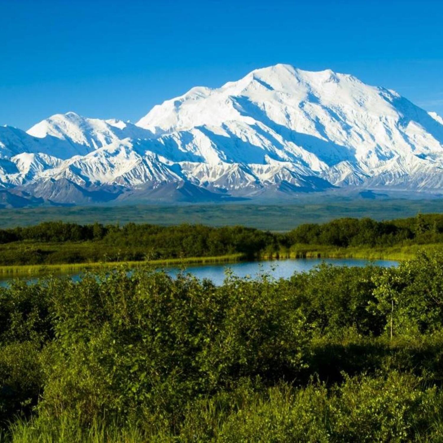 Flitterwochen in Alaska