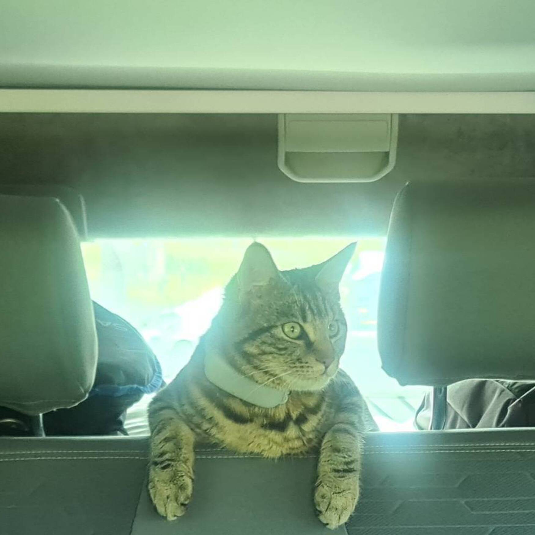 Frühlingsferien 2023