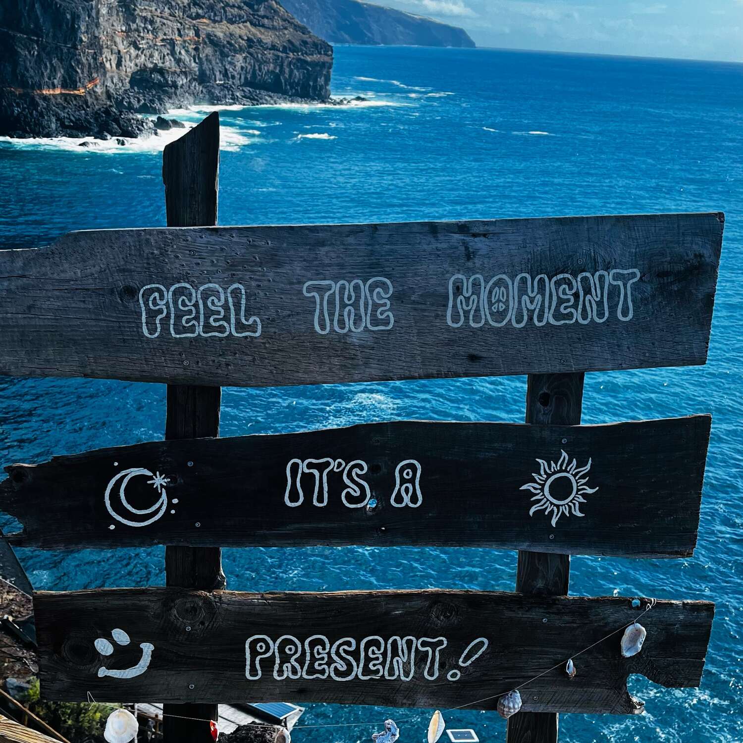 canary islands 🇮🇨