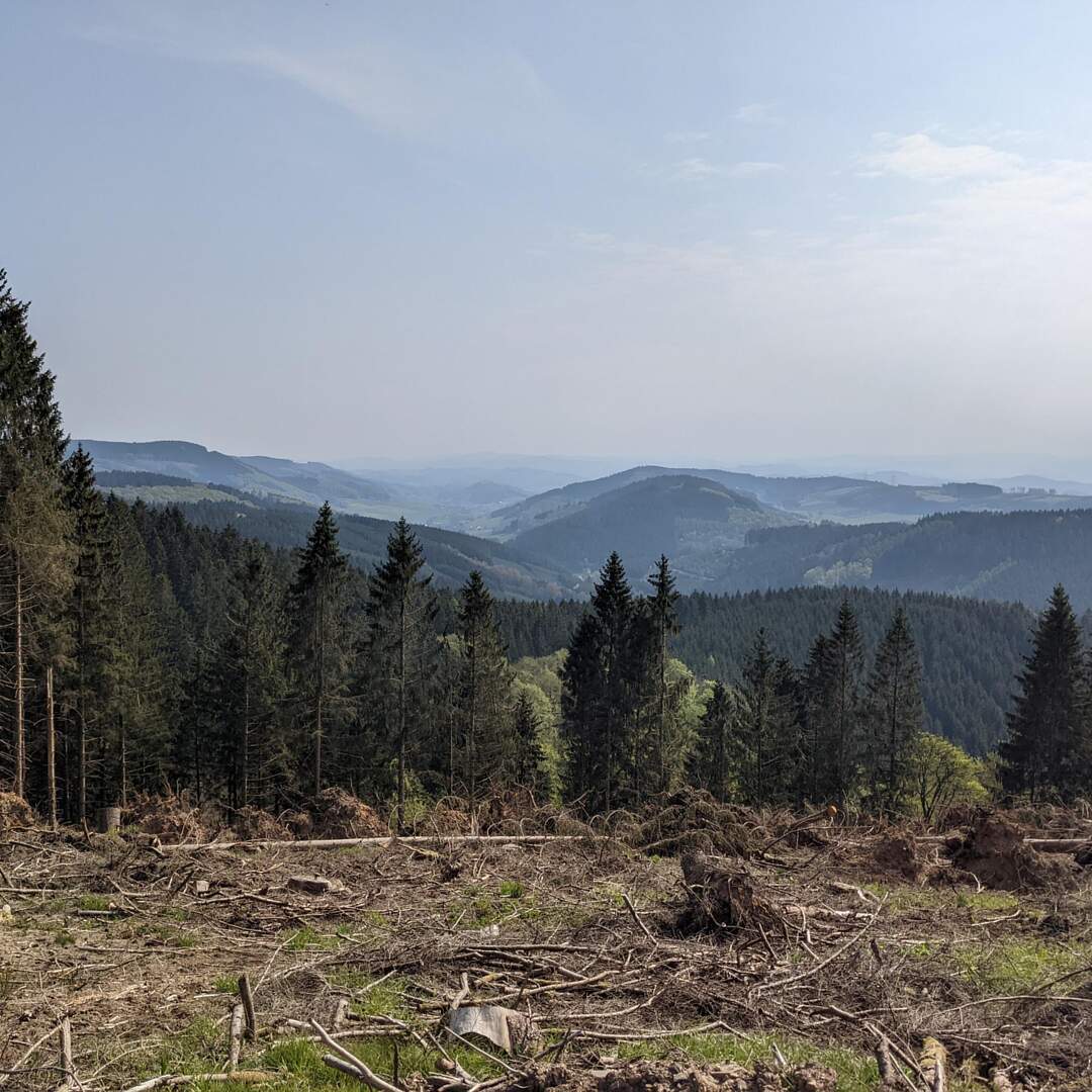 Sauerland Höhenflug Herzstück