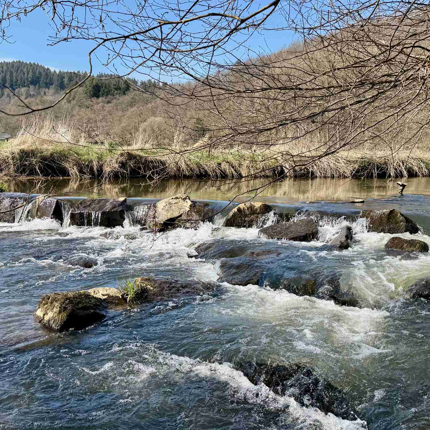 Lieserpfad