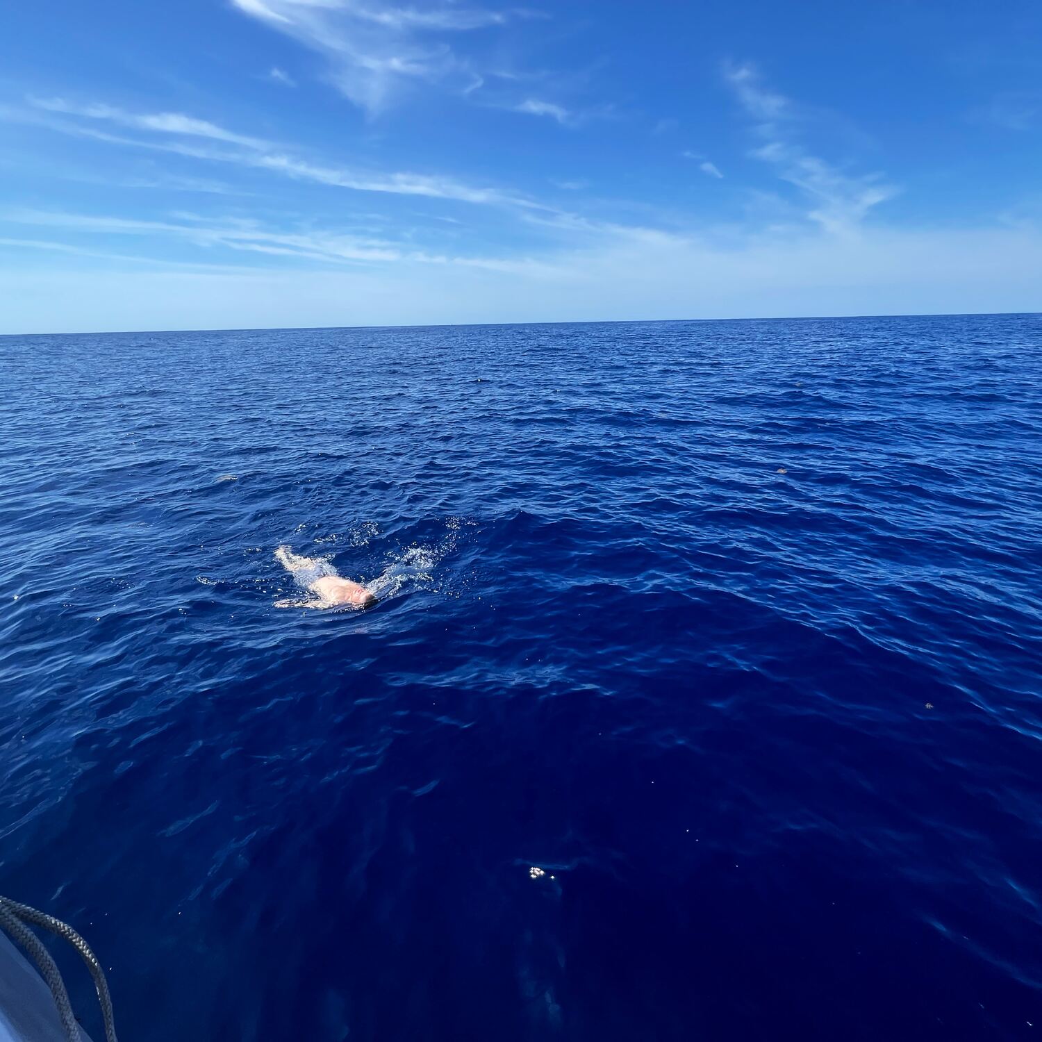 Chpt 7: Bahamas to Greenland