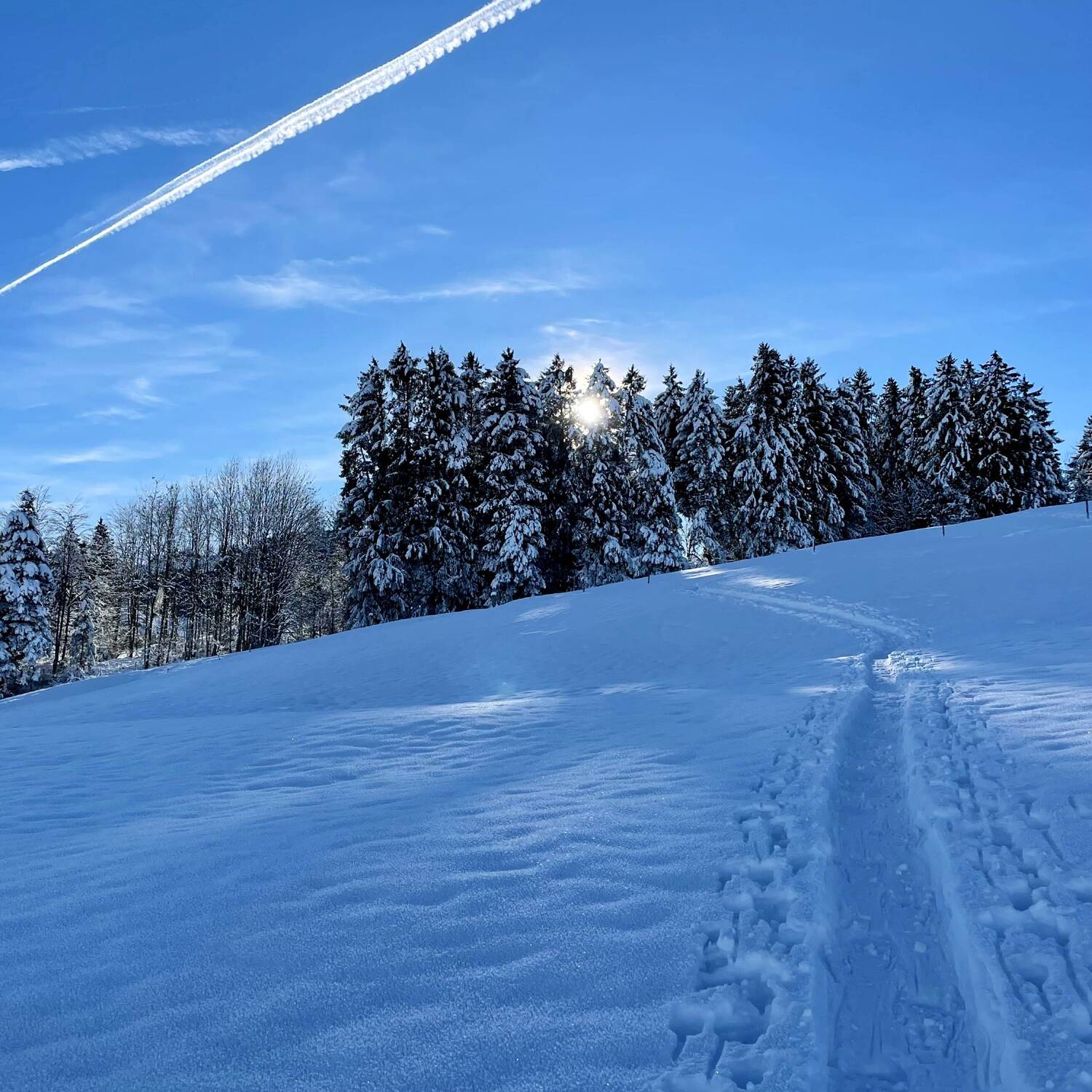 Winter i de Schwiiz