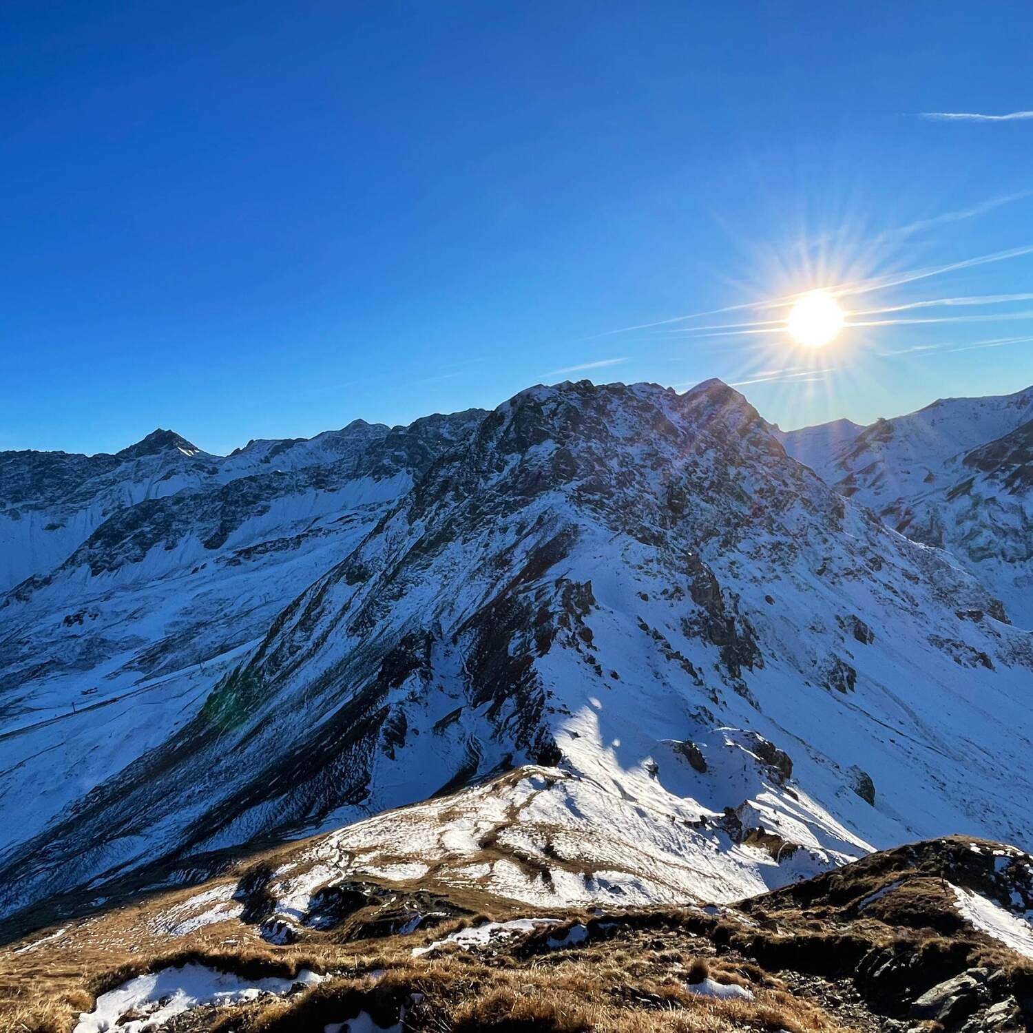 Arosa