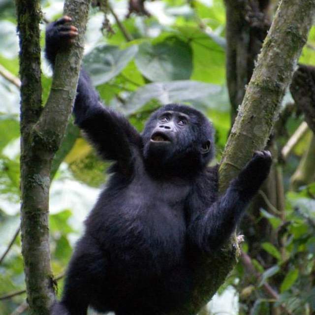 Uganda und Mount Meru