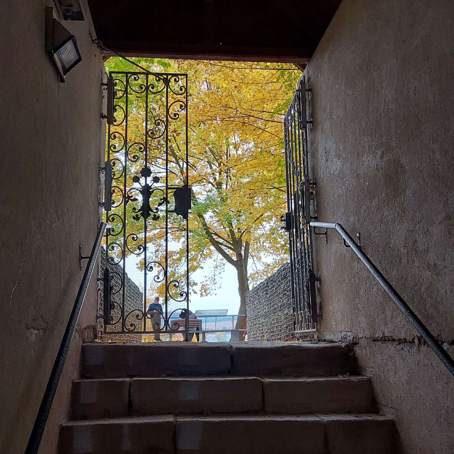 Buchenwald, Barbarossa...