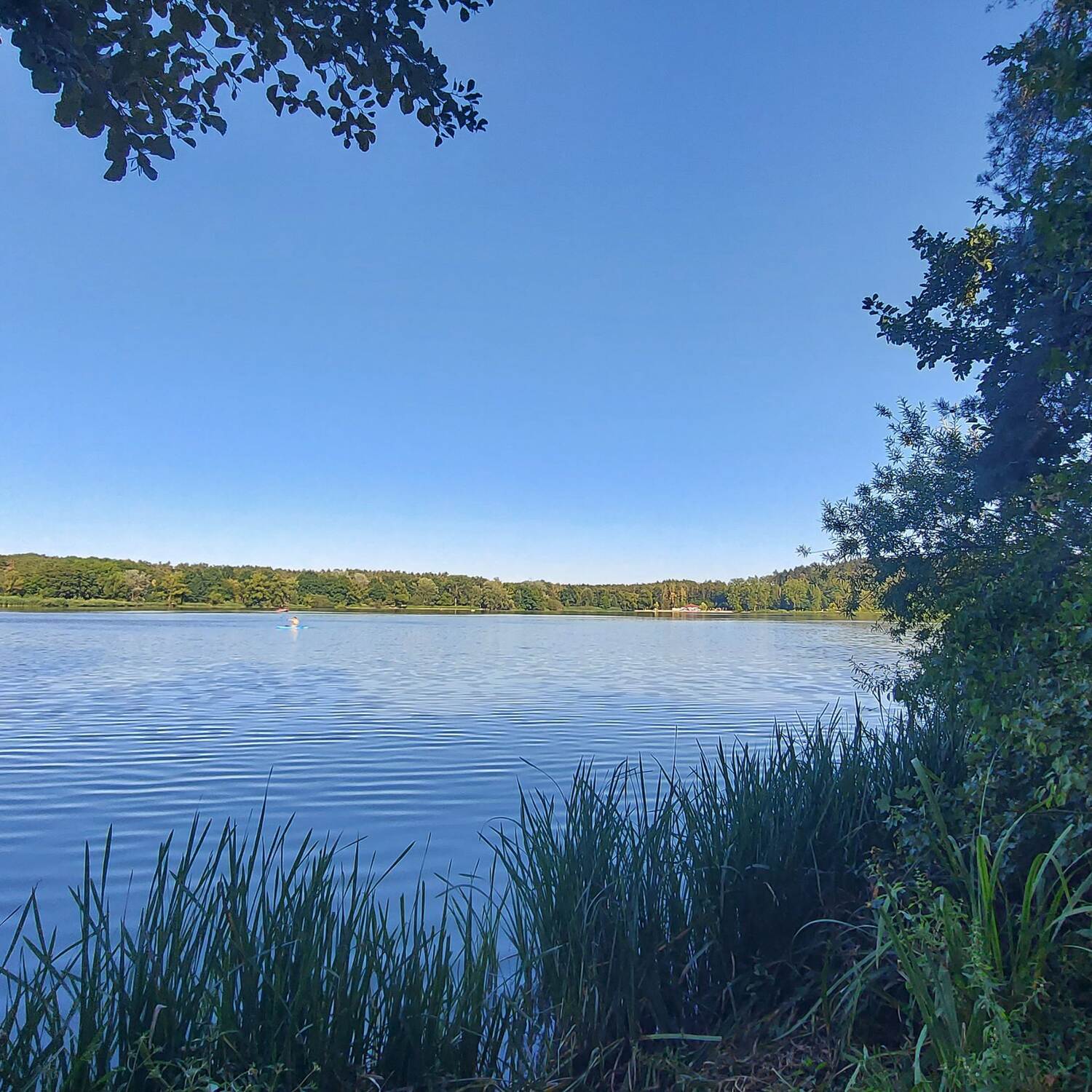 Camping Rangau Dechsendorfer Weiher