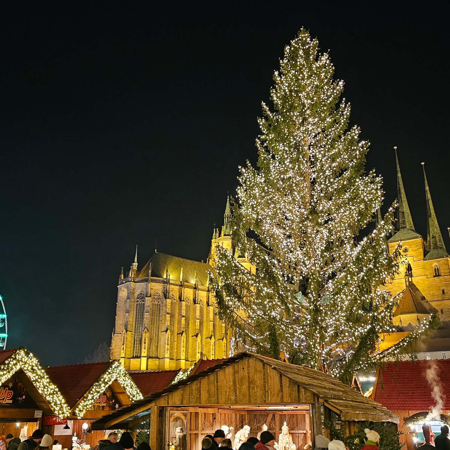 Weihnachtliches Erfurt