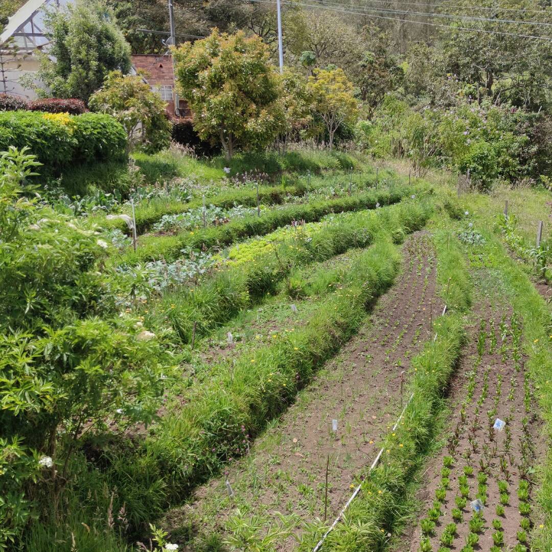 Crazy Caro in Südamerika