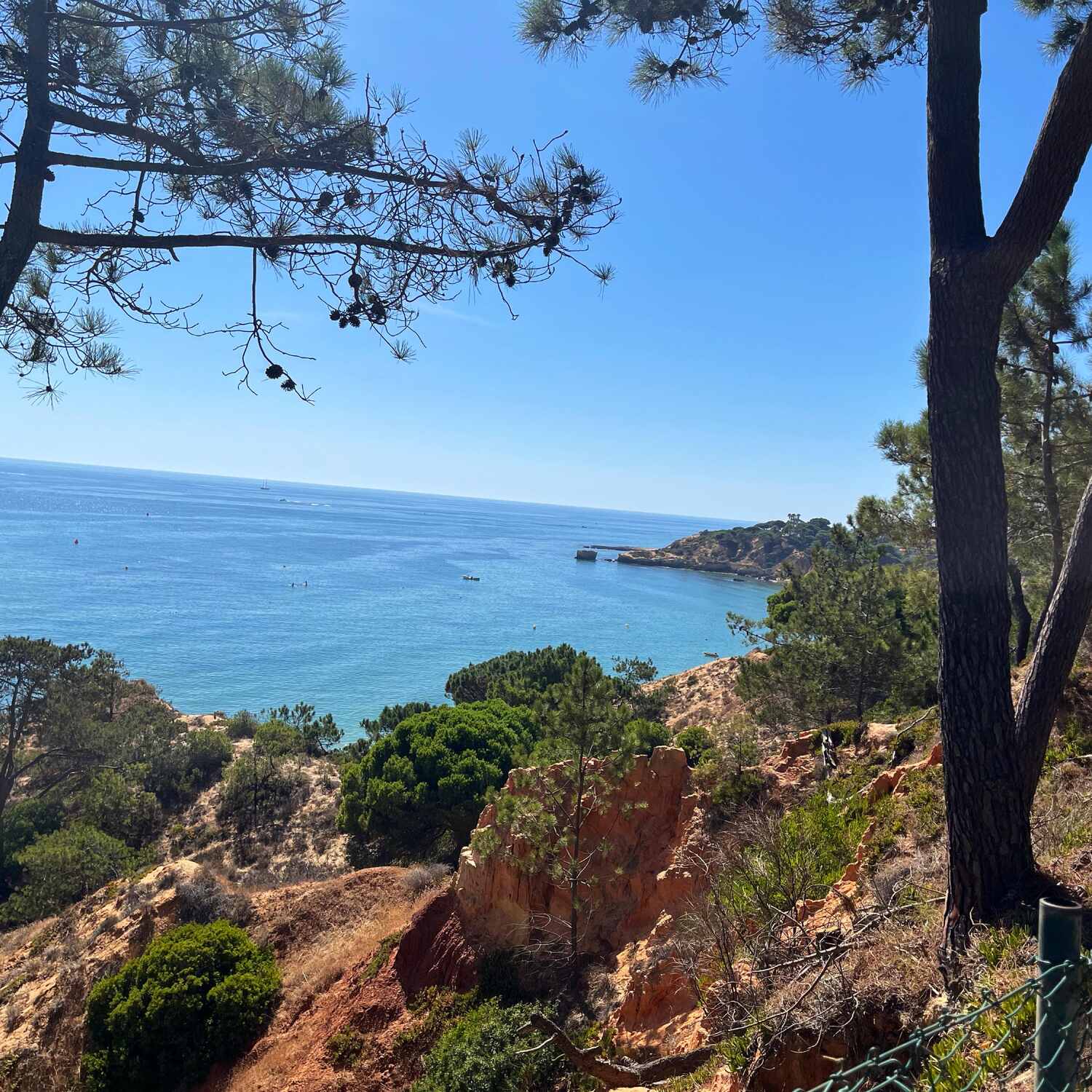 Portugal 🇵🇹
