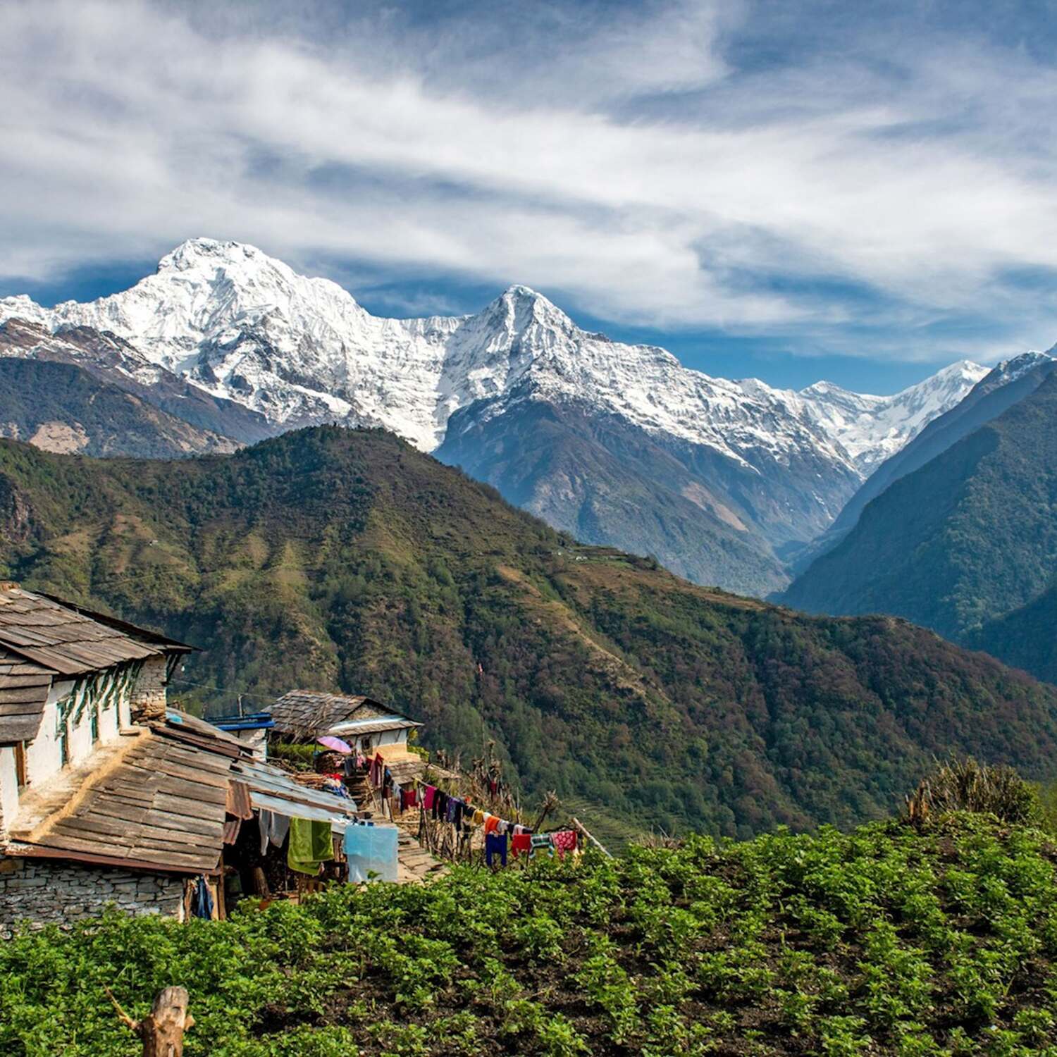 Népal - Annapurna Tour