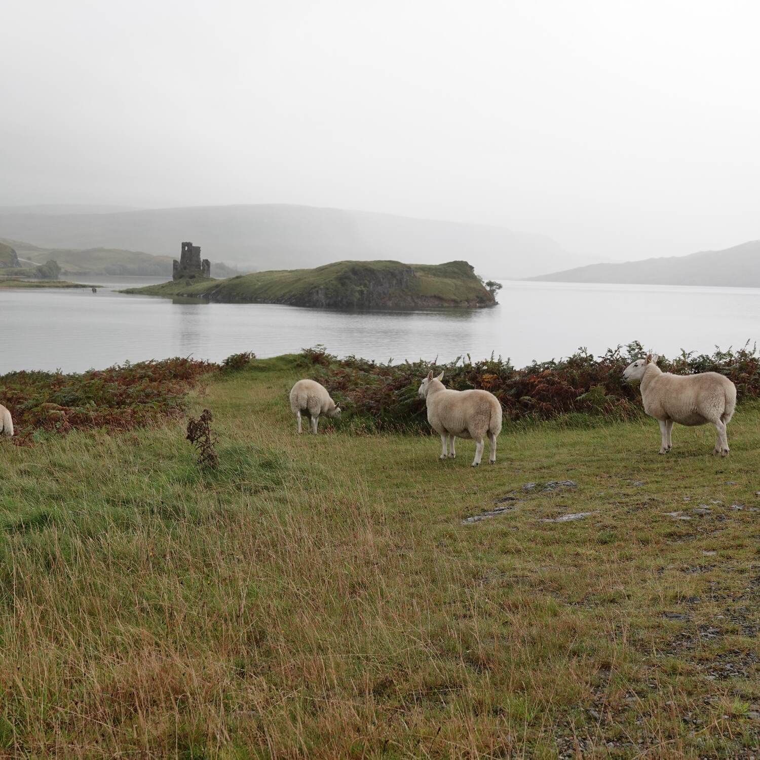 Schottland 2026
