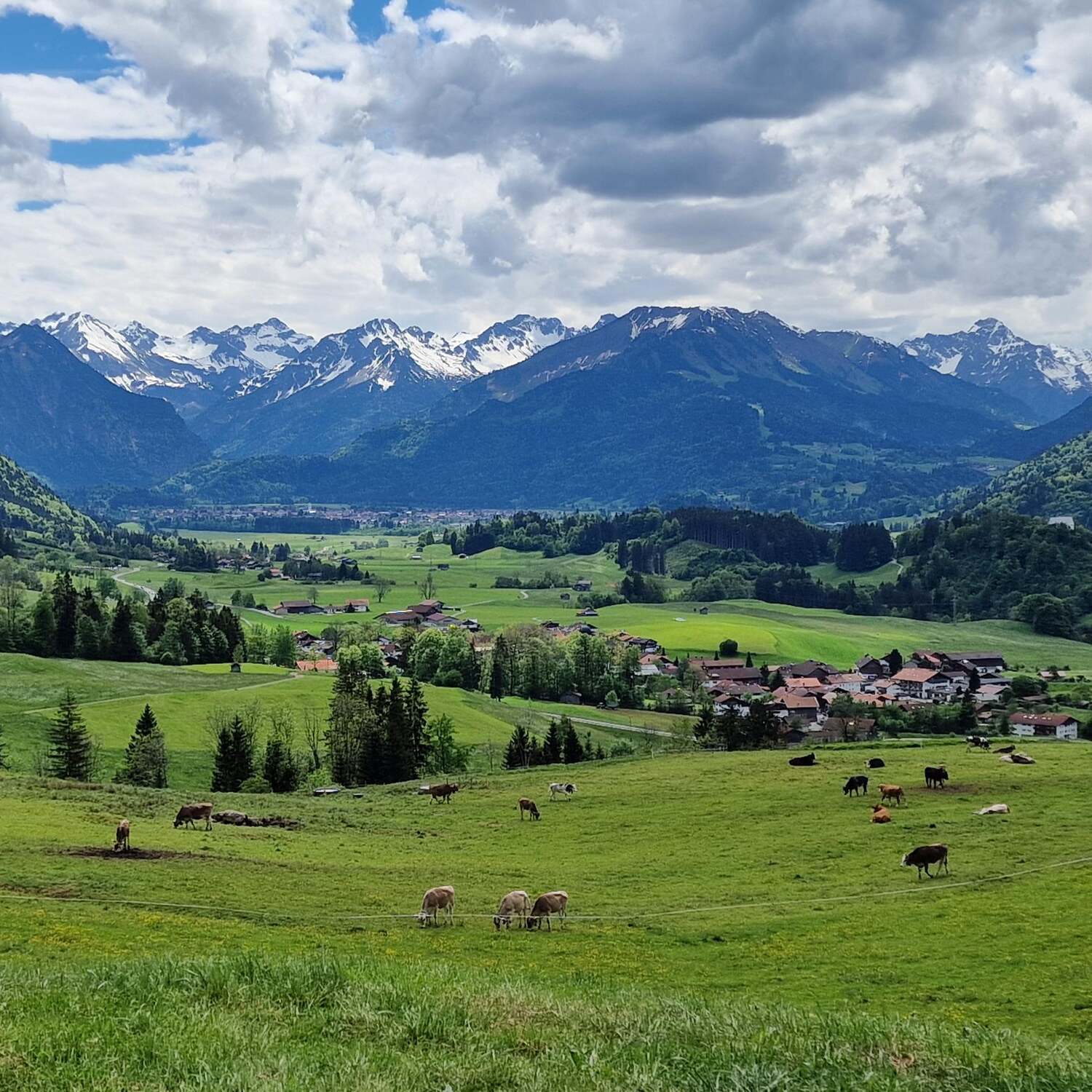 Ein bisschen Allgäu