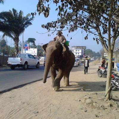 India