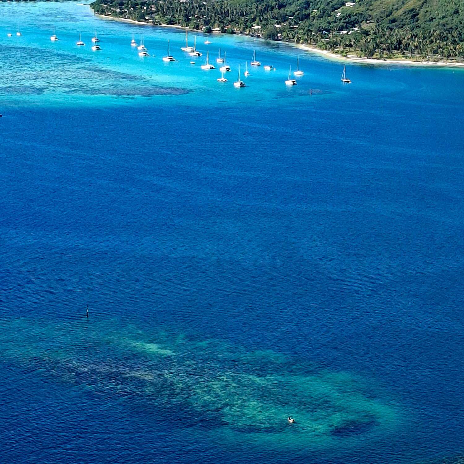 French Polynesia, Wow