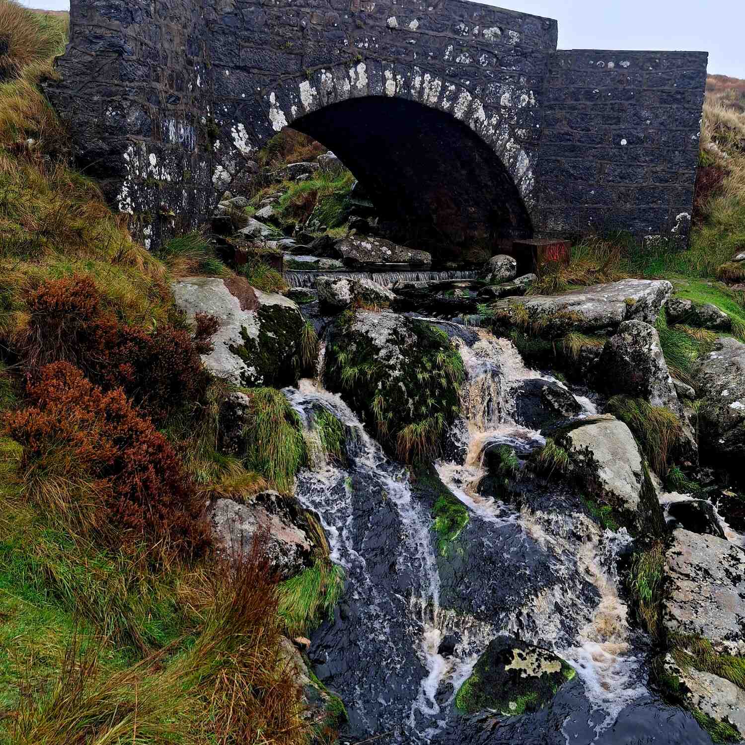 Ireland, It's A Great Day For.