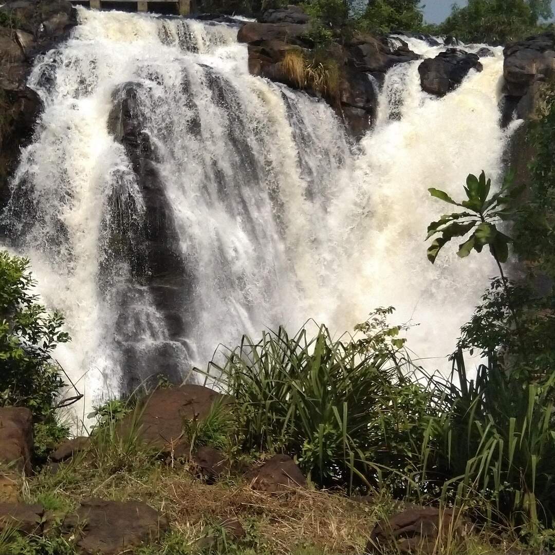 Central African Republic