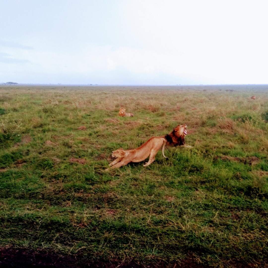 Tanzania In 7 Days