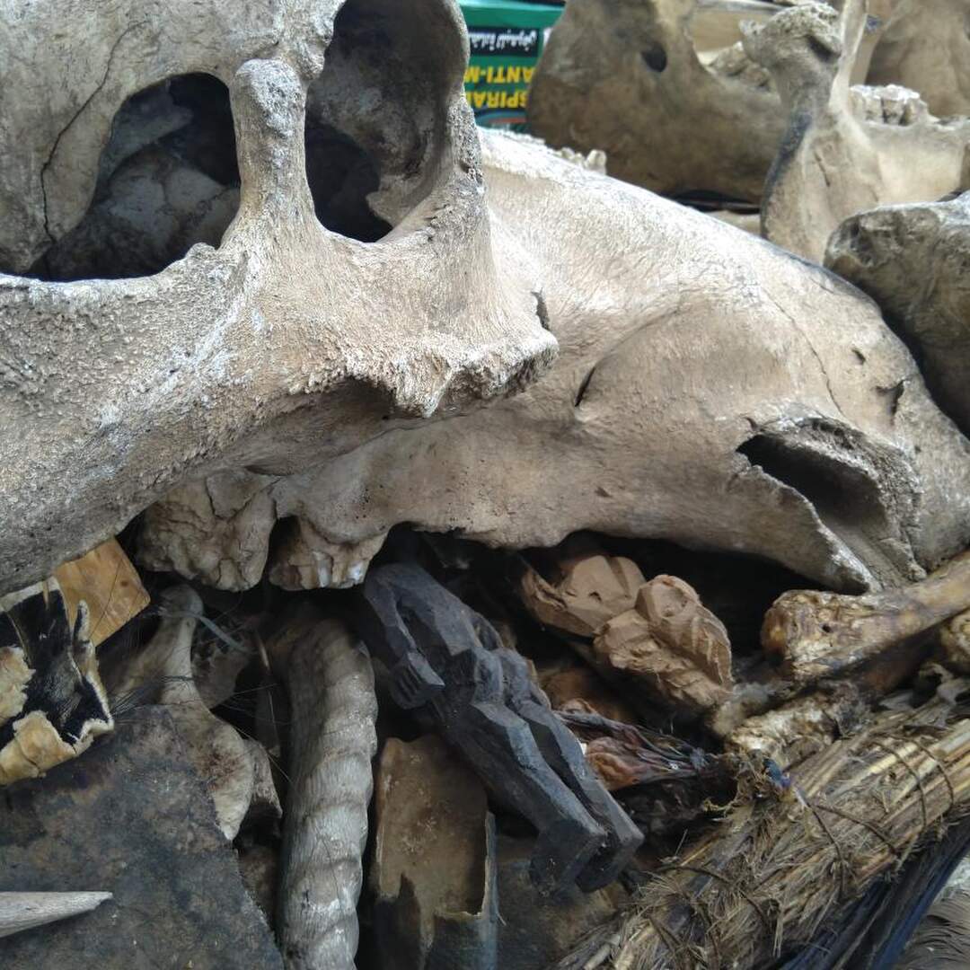 Togo, A Benin Day Trip