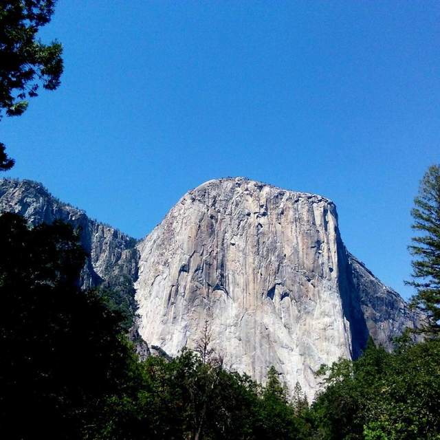 USA, CA Yosemite N.P