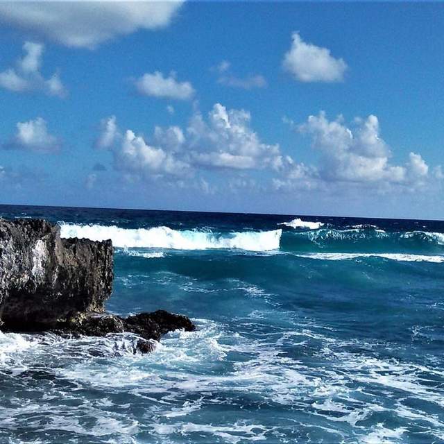 Mexico, Cozumel Port Of Call