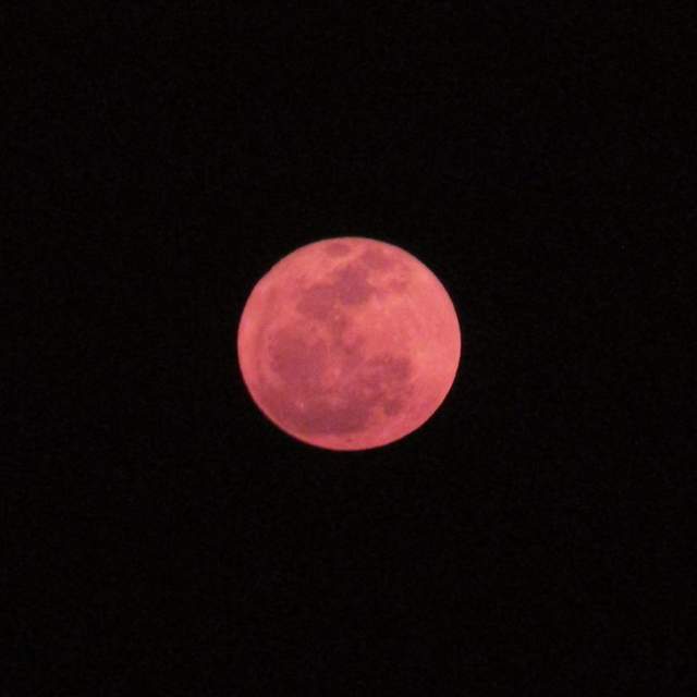 Oman, Pink Moon Rising