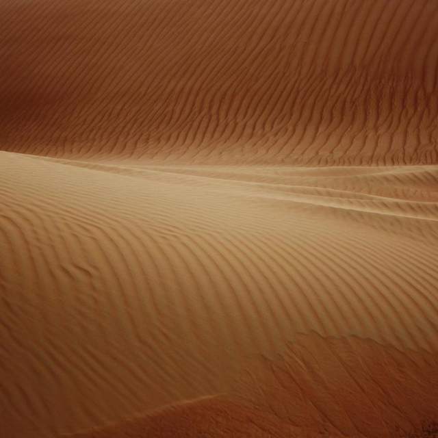 U.A.E, Dubai Summer Days