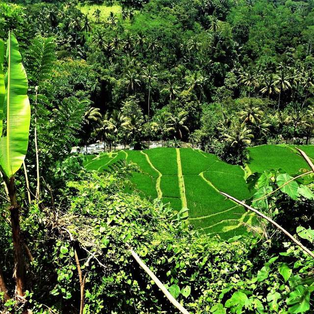 Indonesia, Hot But Fun Bali