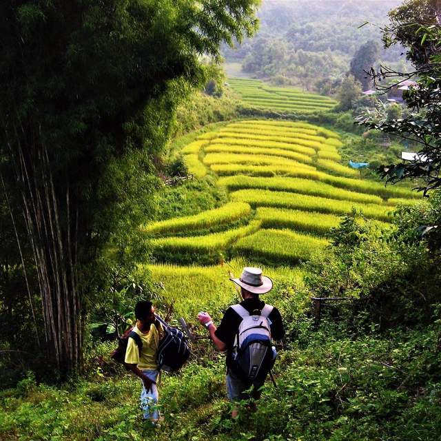 Thailand, Love At First Sight