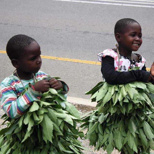 Eswatini, Now.. Just For Lunch
