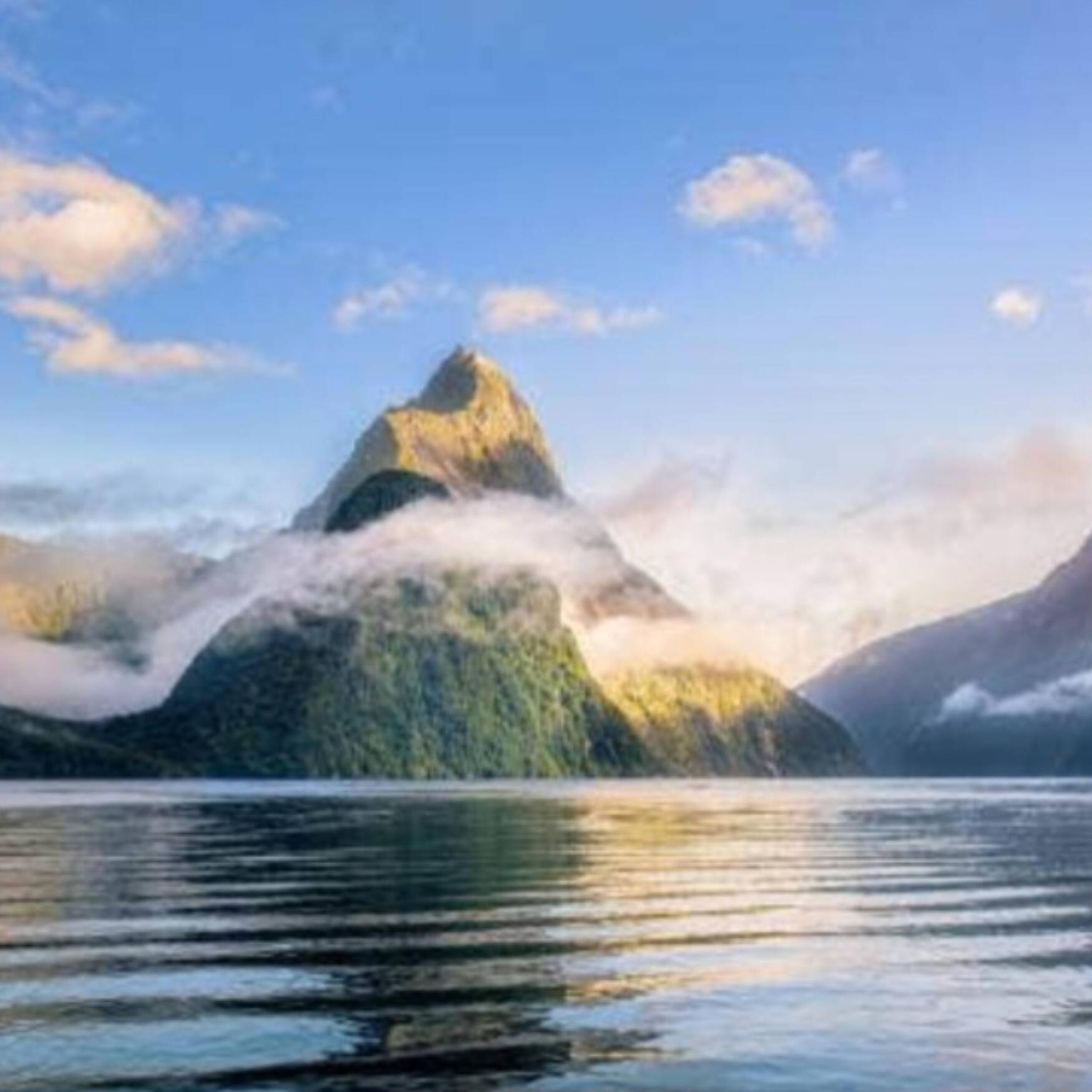 Newzealand