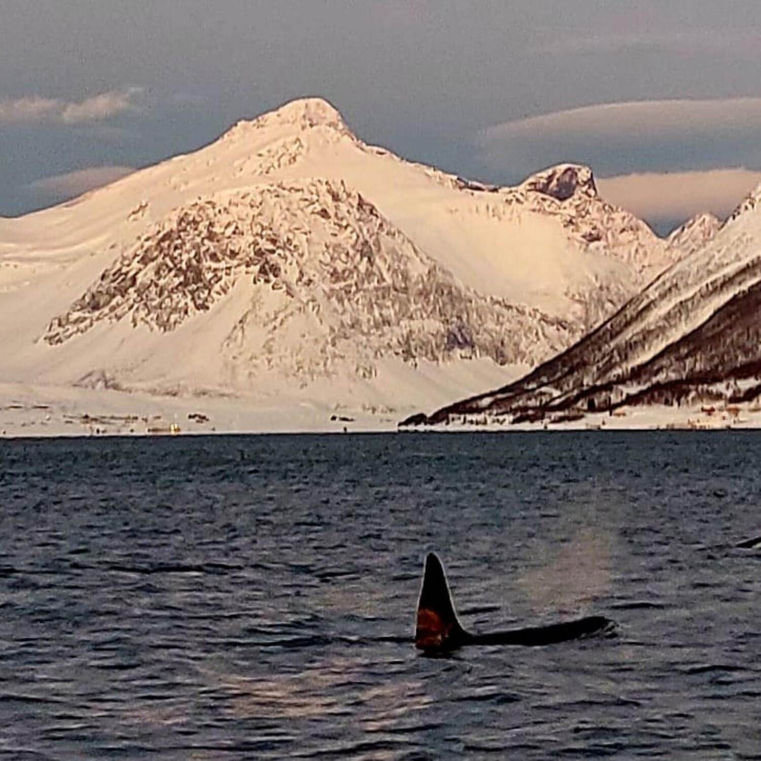 Norwegen