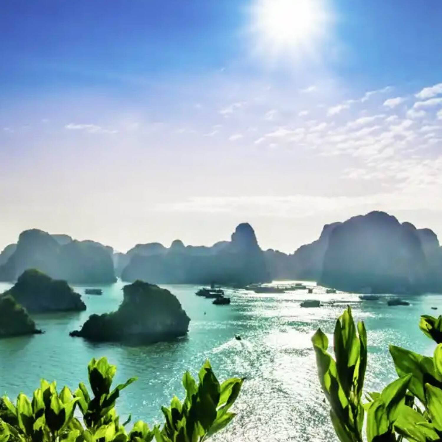 Vietnam 🇻🇳