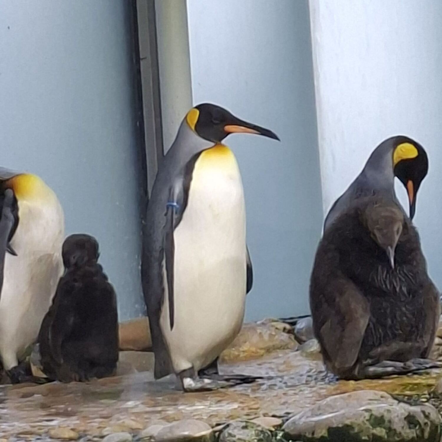 Zoo Basel