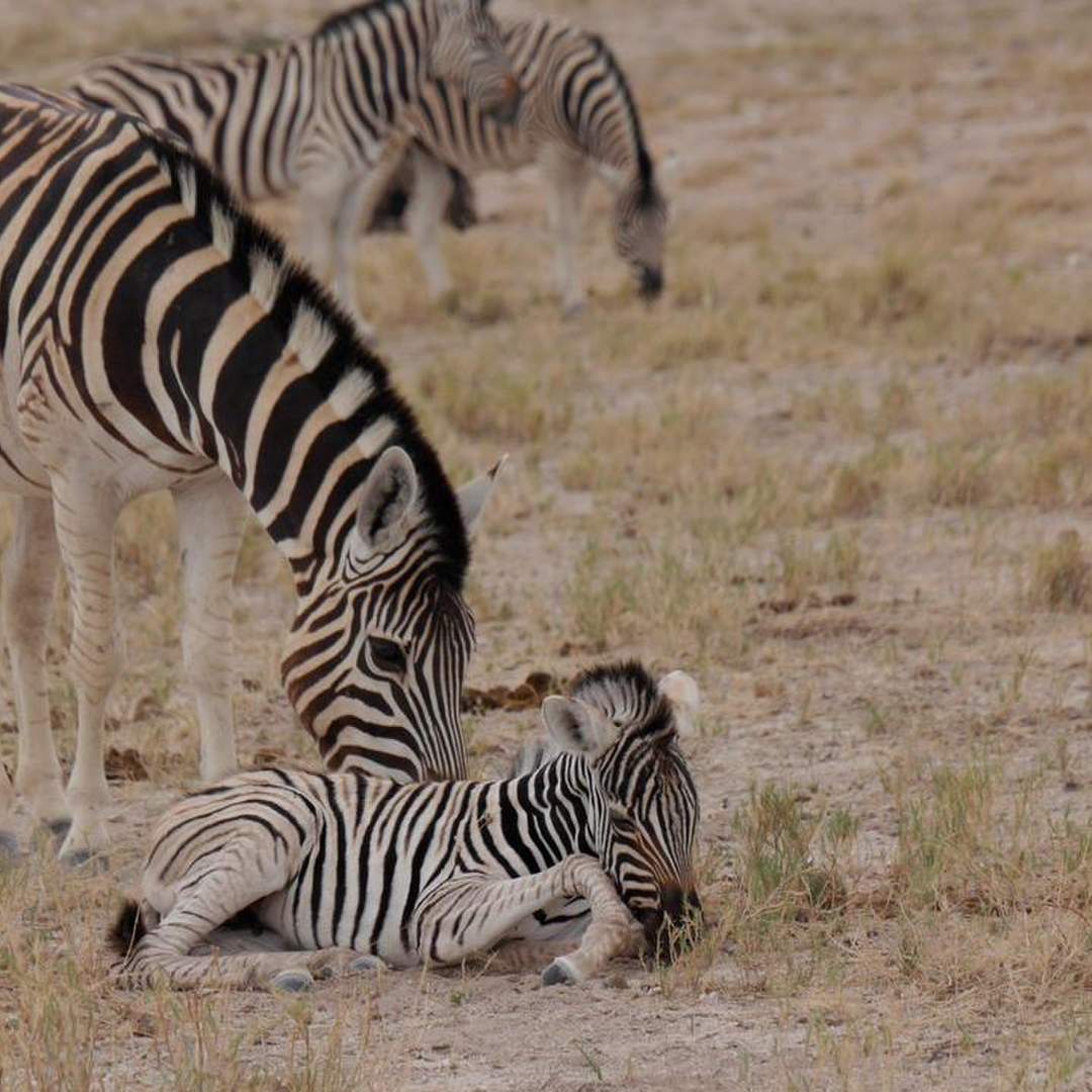 Namibia, Rundreise