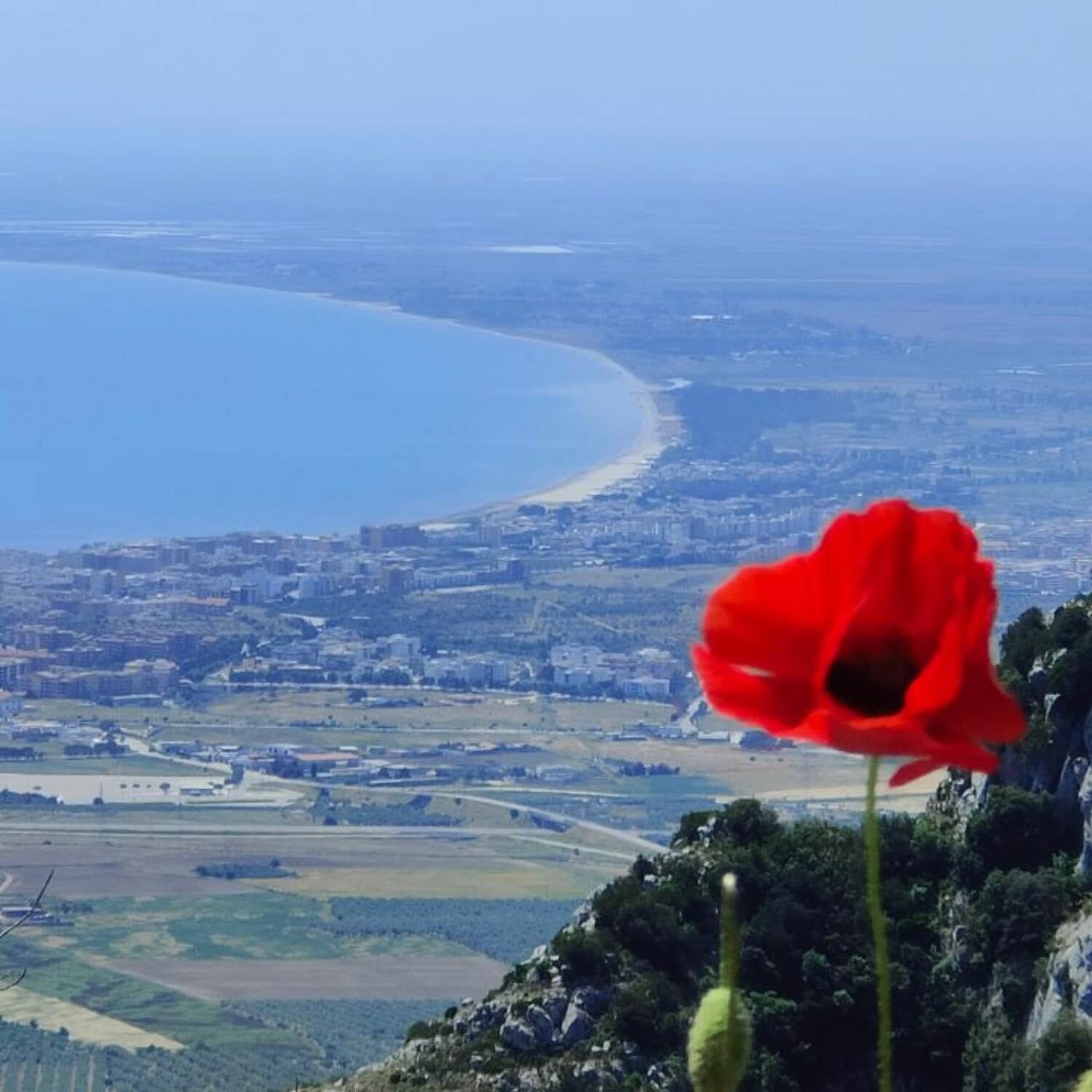 Au jour le jour... By Nalie