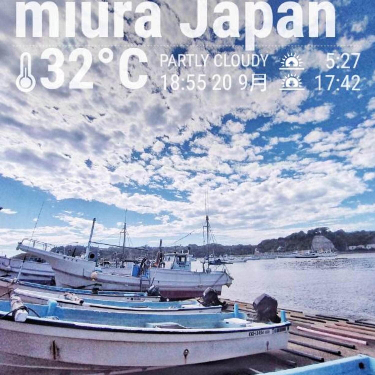 漁港食堂　松輪