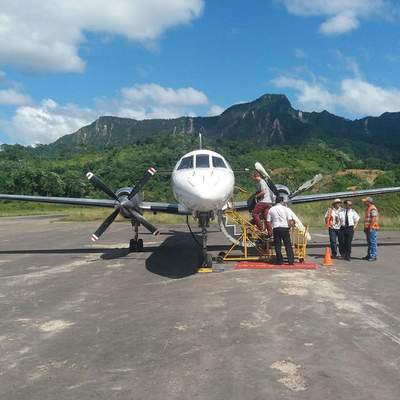 Pinkene Delfine im Süßwasser