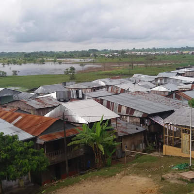 Welcome to the jungle