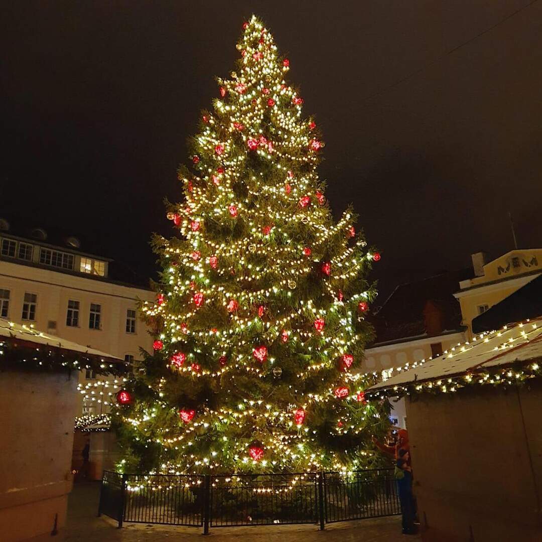 Tallinn, Estonia