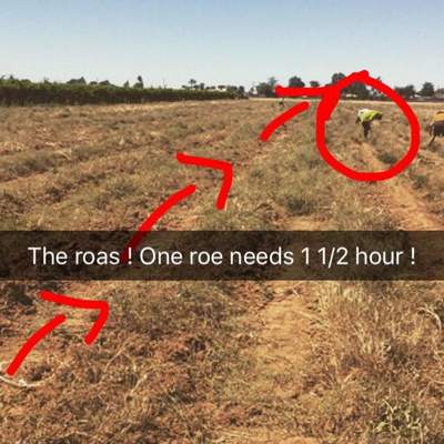 First Farm Job - FAIL