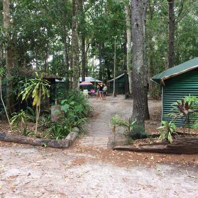 Bushcamp Noosa 2