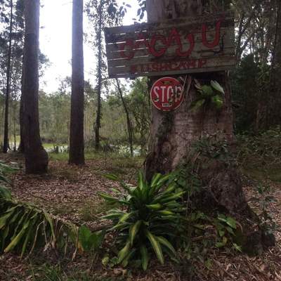 Bushcamp Noosa