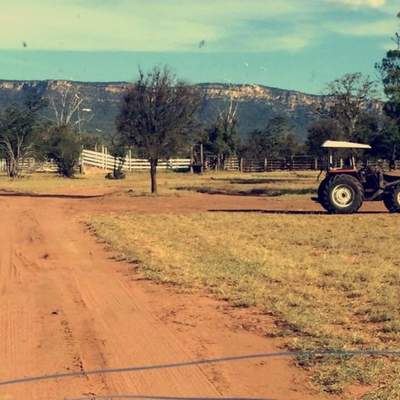 One Week On A Cattle Farm