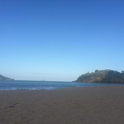 Ellis Beach