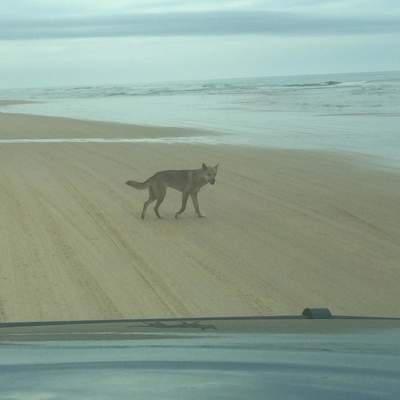 Fraser Island